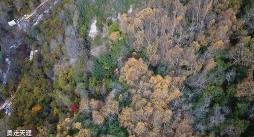 川西孟屯河谷彩林