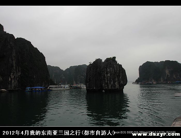 IMG_4275.jpg