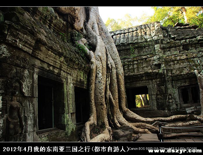 Ta Prohm 塔布隆寺