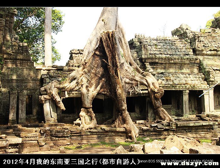 圣剑寺（Preah Khan） 