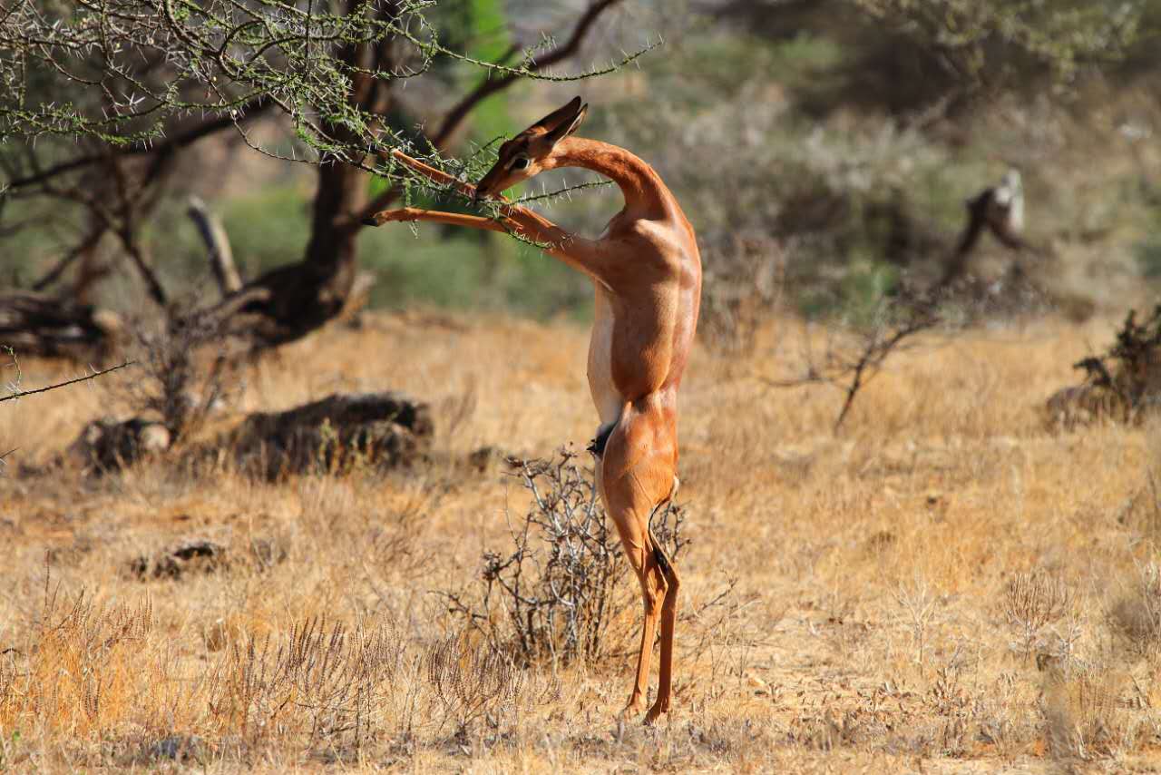 27.jpg