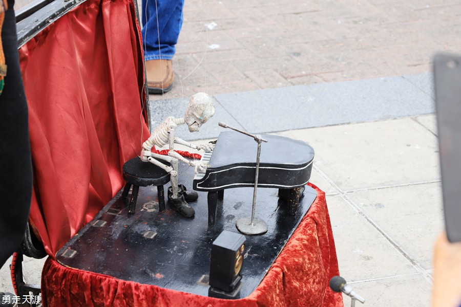 IMG_5547.jpg
