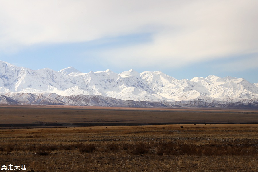 IMG_9697.jpg