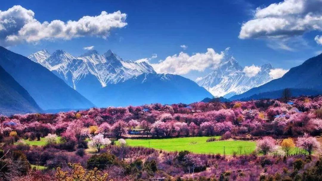 3月30日拉萨集结反走318国道9日自驾：林芝桃花，波密桃花，落地自驾318国道