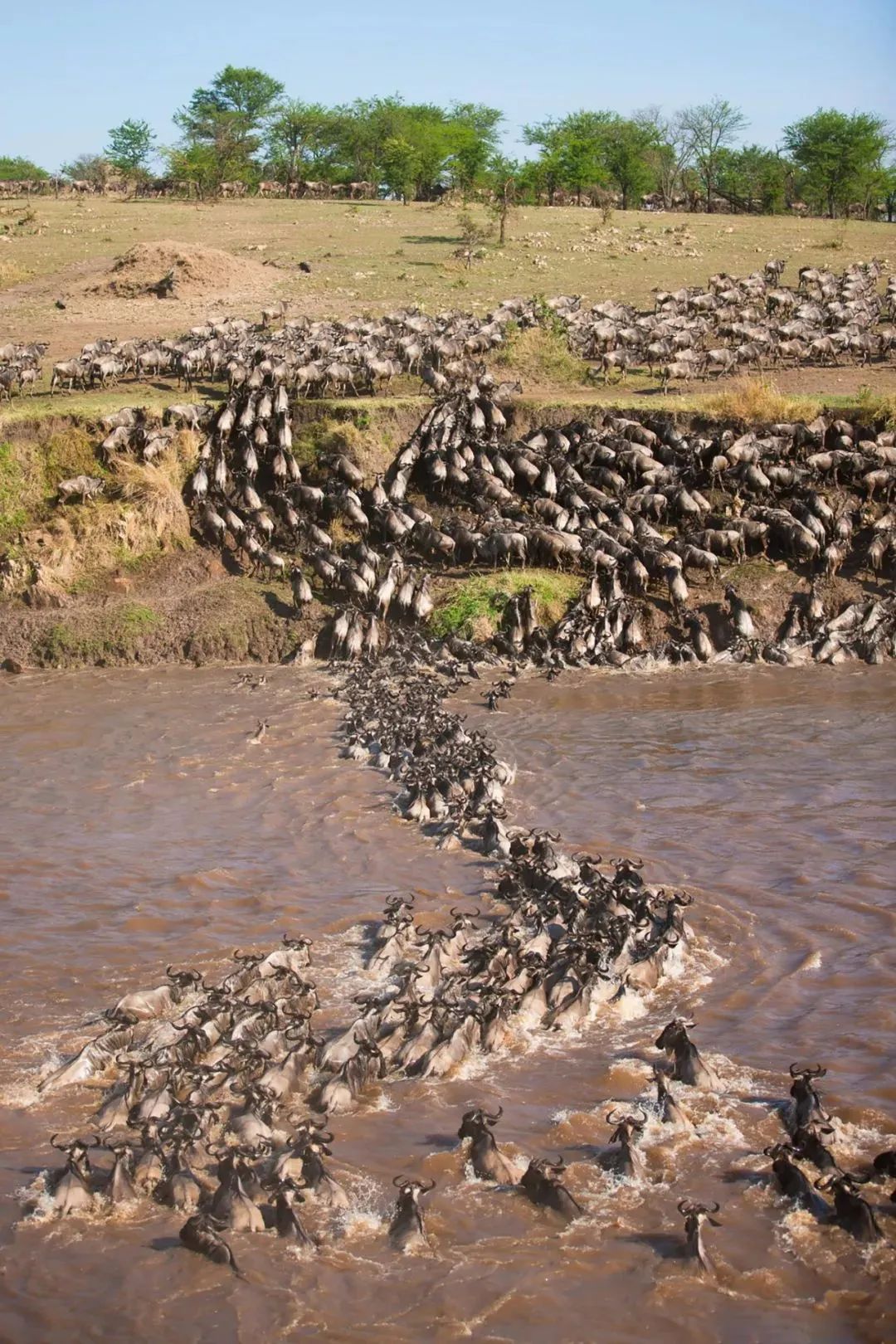 1682147296286161.jpg 微信图片_20230422144929.jpg