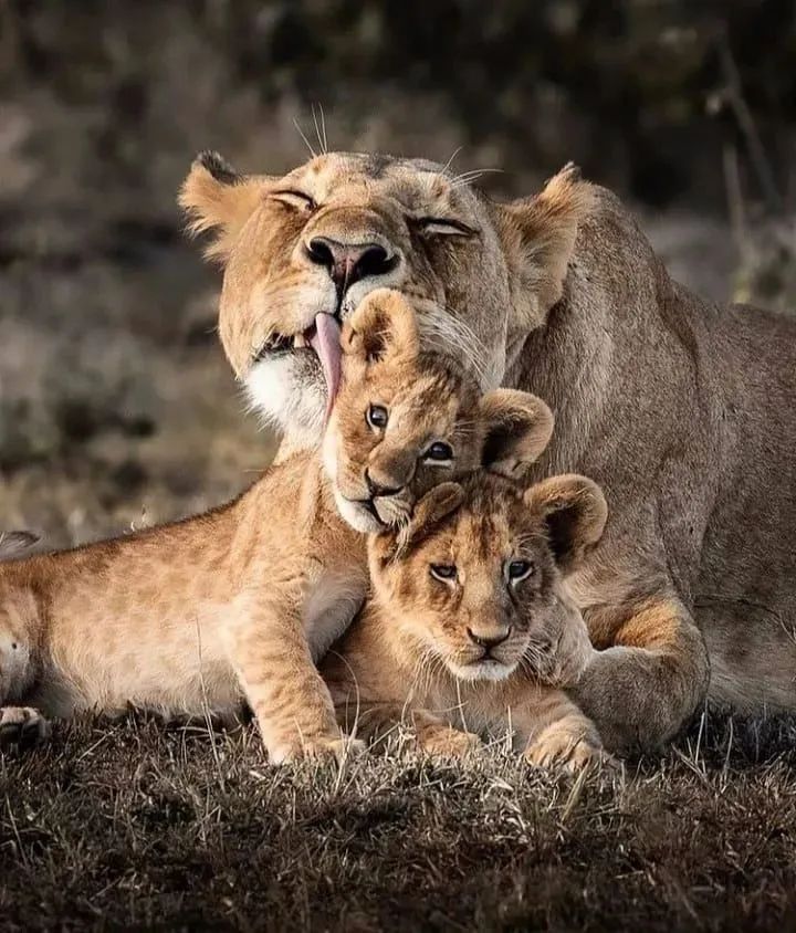 1682147312429543.jpg 微信图片_20230422144933.jpg