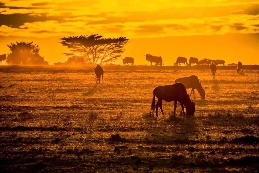 1682147401520254.jpg 微信图片_20230422144951.jpg