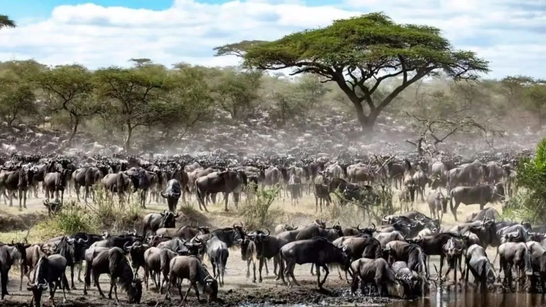 1682147462919718.jpg 微信图片_20230422145016.jpg