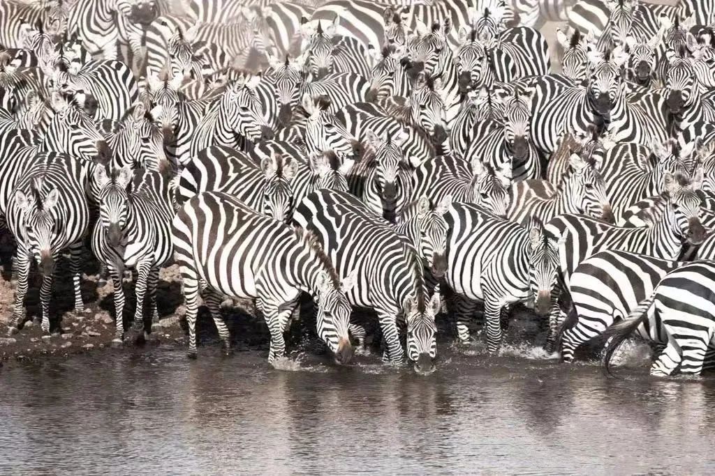 1682147491118509.jpg 微信图片_20230422145022.jpg