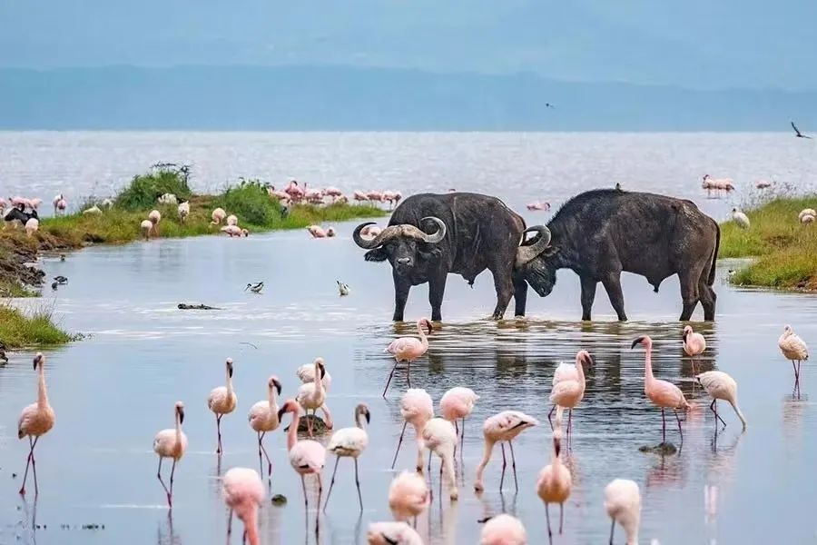 1682147569114025.jpg 微信图片_20230422145035.jpg