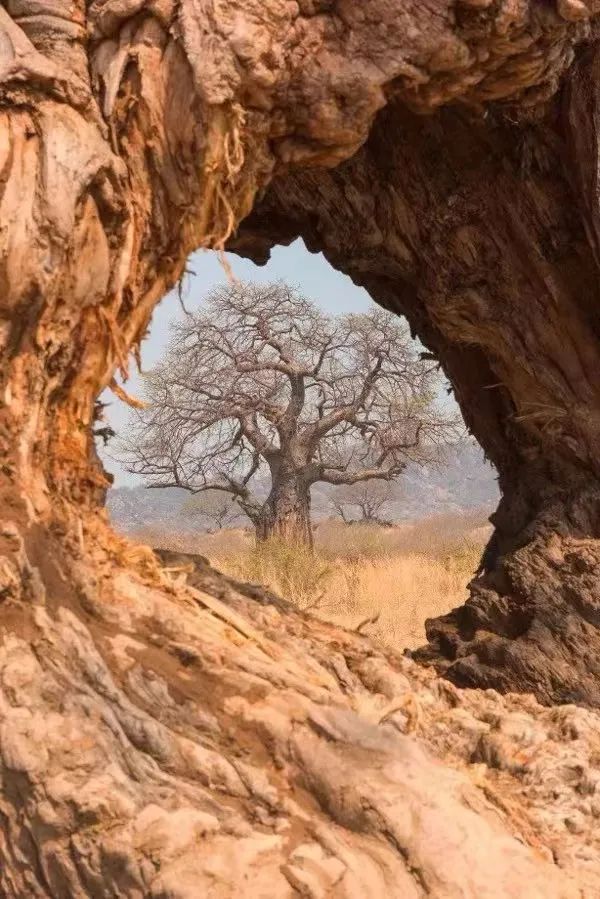 1682147583385865.jpg 微信图片_20230422145037.jpg