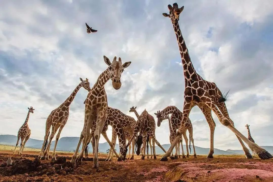 1682147619516209.jpg 微信图片_20230422145043.jpg