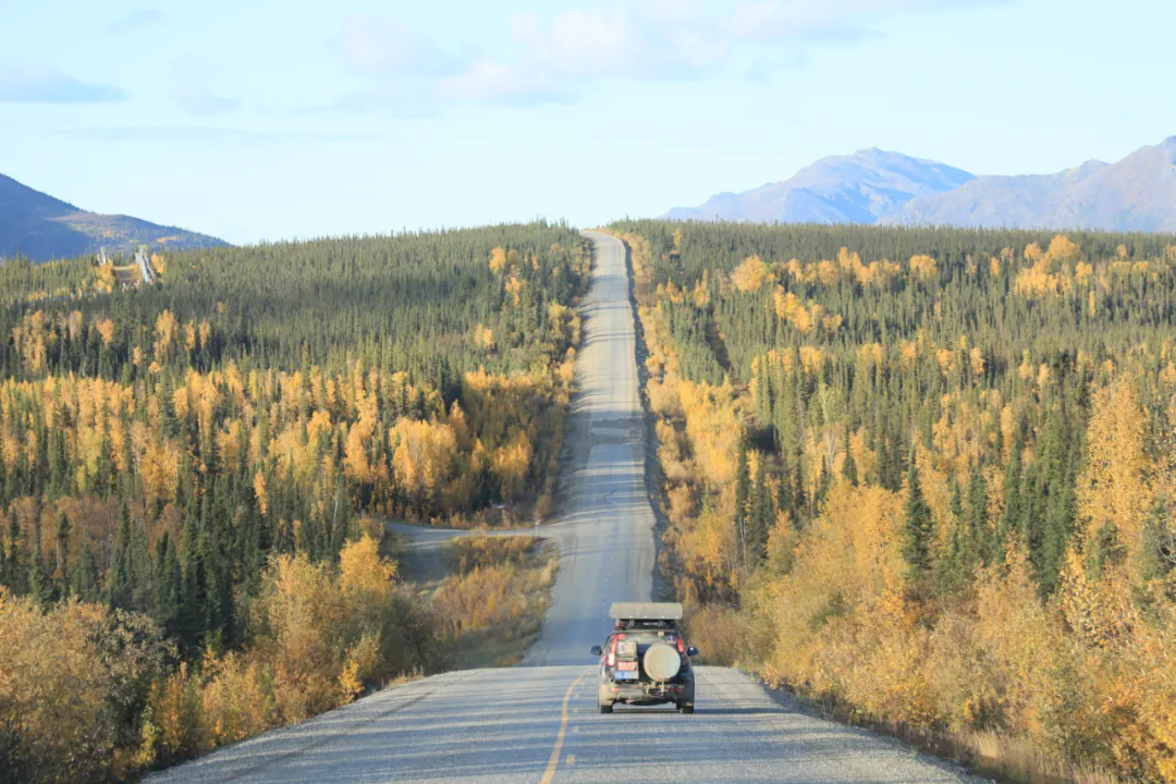 1760603476228886.png 640.webp.png